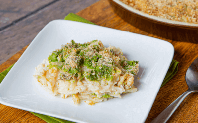 Turkey Tetrazzini for dysphagia diets on white plate